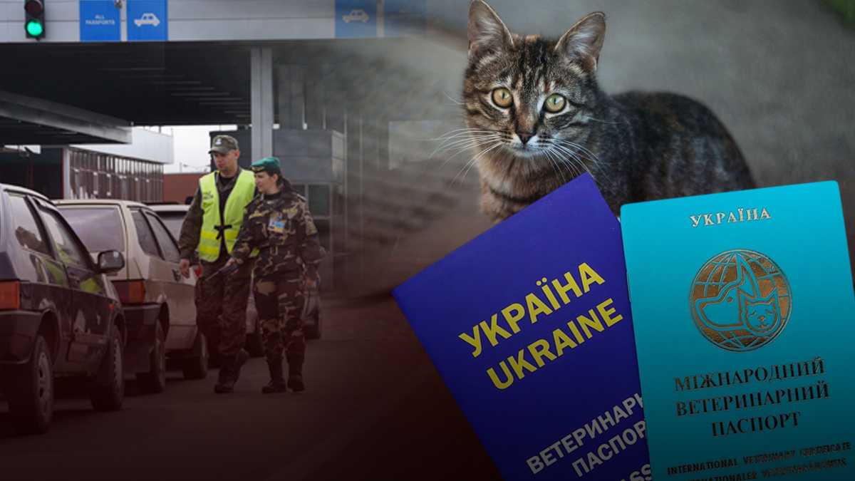 Перетин кордону улюбленцями